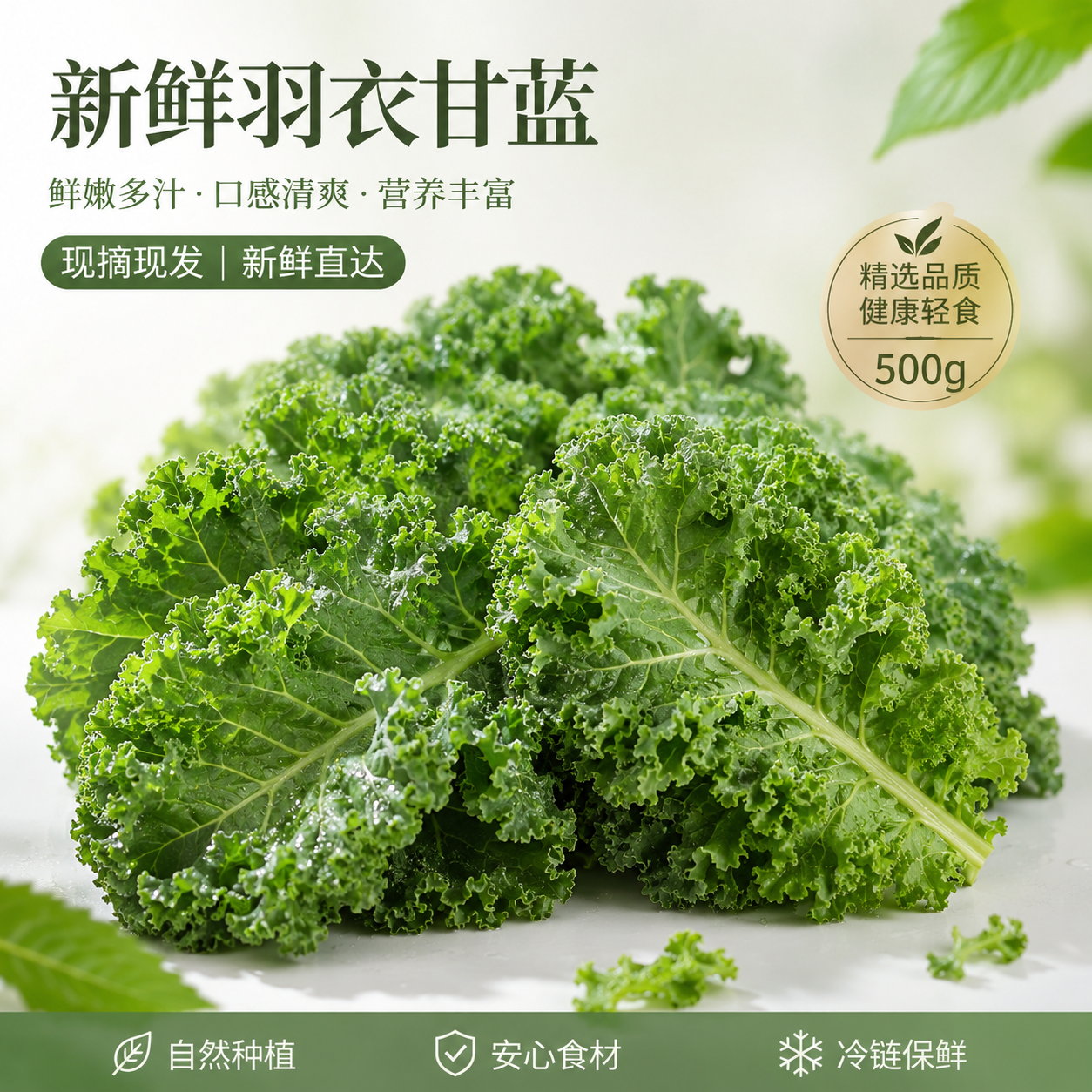 羽衣甘蓝 新鲜蔬菜芥蓝菜kale榨汁沙拉西餐健身食材蔬菜 顺丰发货