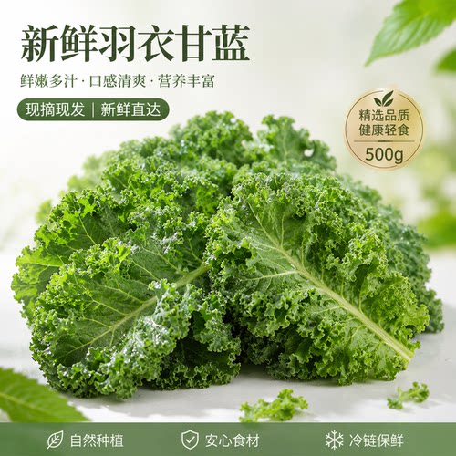 榨汁沙拉西餐健身食材蔬菜