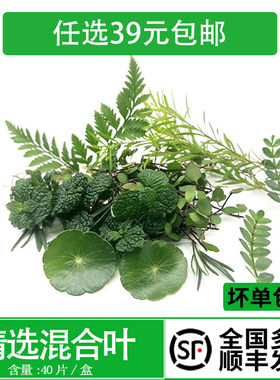 花草冷菜点缀新鲜鲜花