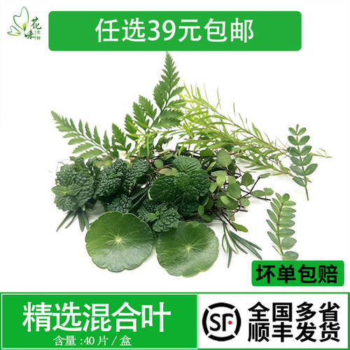 花草冷菜点缀新鲜鲜花