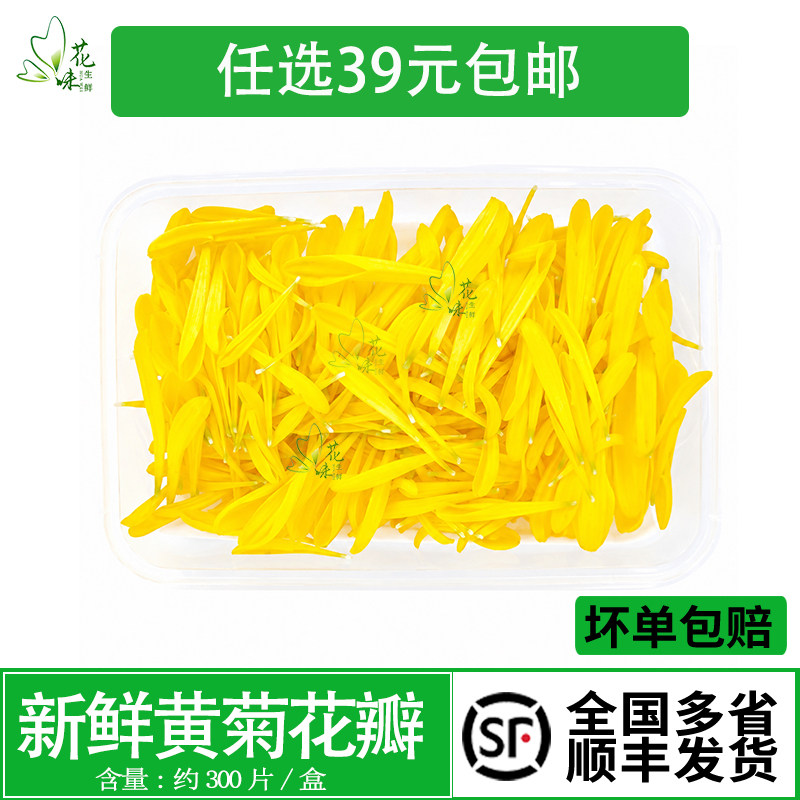 黄菊花花瓣黄菊花花瓣新鲜现摘