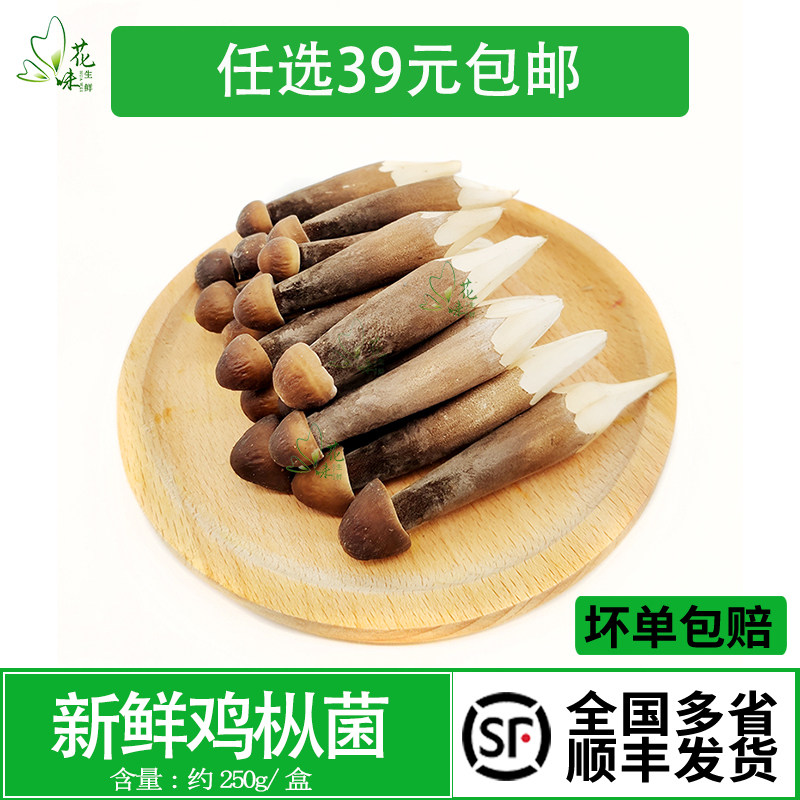 新鲜鸡枞菌 菌菇 食用菌 黑皮鸡枞菇鸡油菌煲汤食材250g