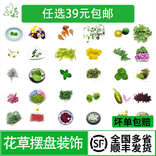 蛋糕装饰西餐摆盘花草点缀合集