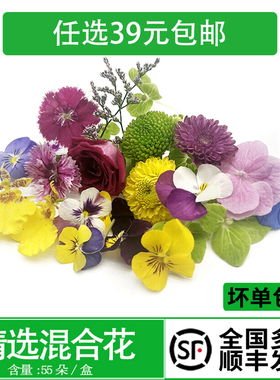 新鲜混合花 三色堇 绣球 多色菊花 酒店西餐花草摆盘日料装饰点缀