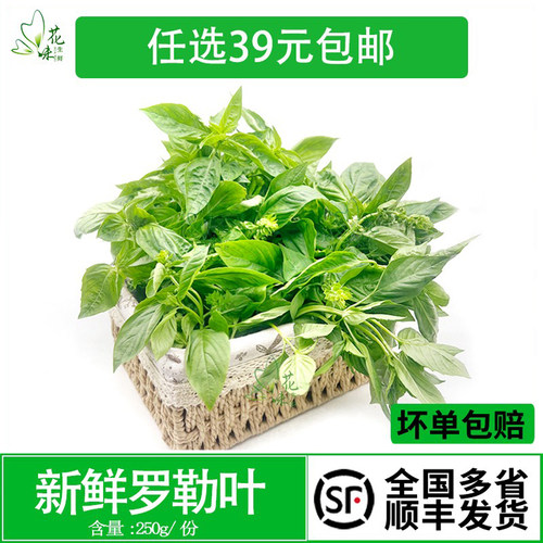 青酱制作罗勒蔬菜西餐香料调料