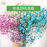 满天星新鲜粉色 蓝色 白色干花  新娘手捧花酒店西餐餐饮摆盘盘饰