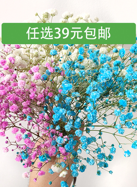 满天星新鲜粉色 蓝色 白色干花  新娘手捧花酒店西餐餐饮摆盘盘饰