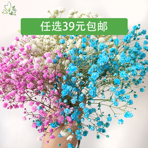 满天星新鲜粉色 蓝色 白色干花  新娘手捧花酒店西餐餐饮摆盘盘饰