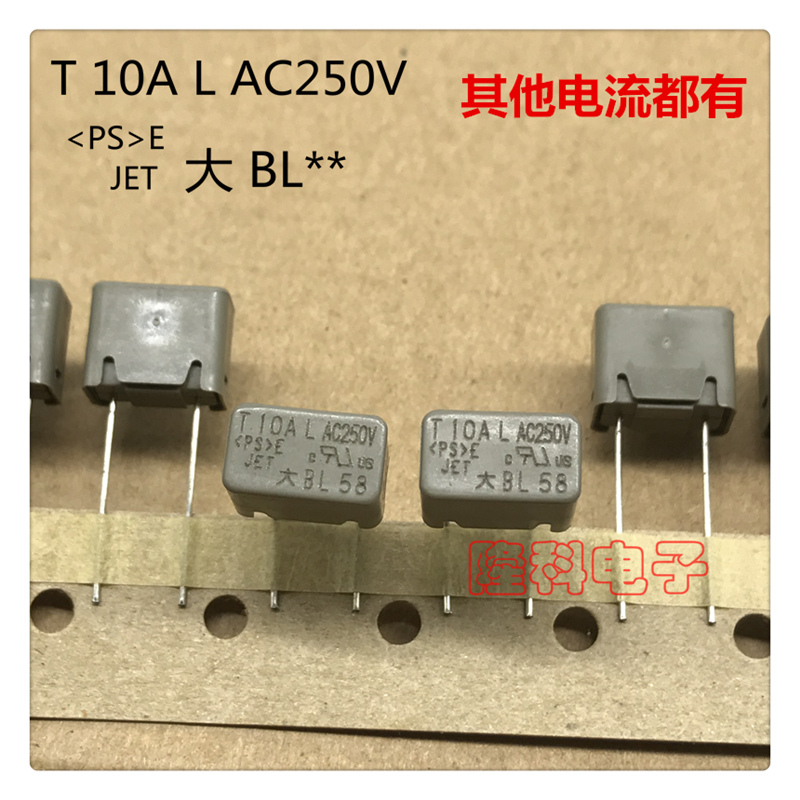 大BL保险丝管大体积10A250V