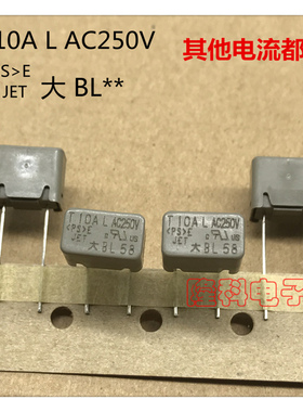 BL100方形大体积保险丝T10AL AC250V 大BL 10A 250V 灰色大东进口