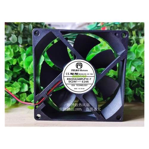 R9225X24BPLB1h24V0.24A