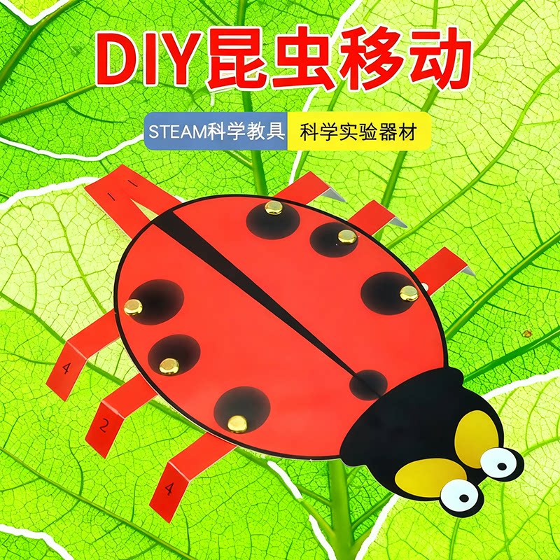 小学生昆虫移动运动幼儿