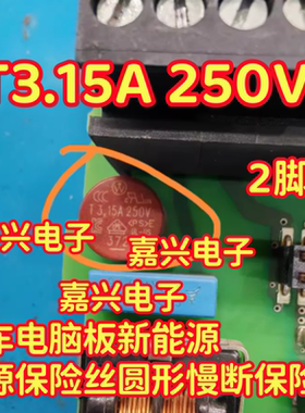 T3.15A 250V 汽车电脑板新能源电源保险丝圆形慢断保险丝2脚