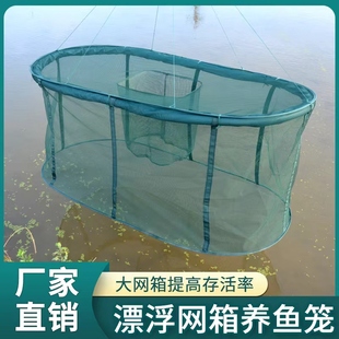 养鱼网箱鱼苗甲鱼大鱼养殖存鱼漂浮鱼护加密大号折叠鱼笼圆形家用