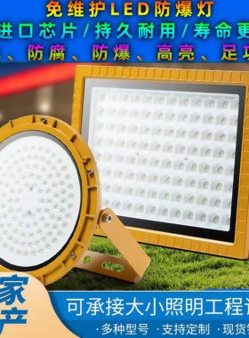 LED防爆灯工业防爆灯投光灯