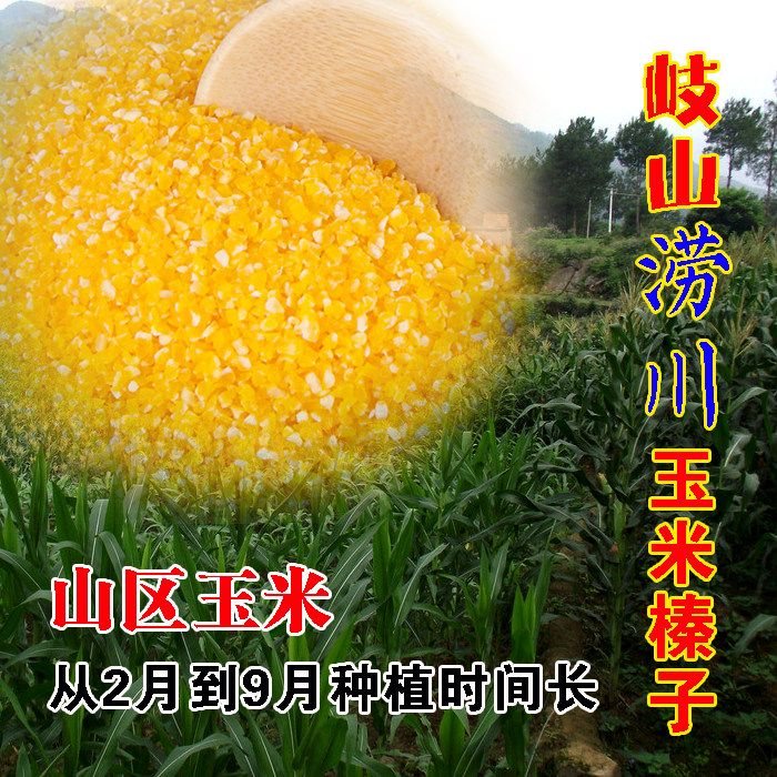 陕西特产岐山自产新榛子