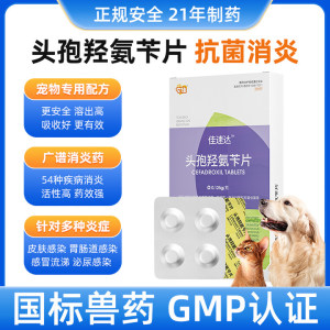 猫咪头孢羟氨片宠物狗狗消炎药犬猫专用广谱感冒药止泻泌尿系统
