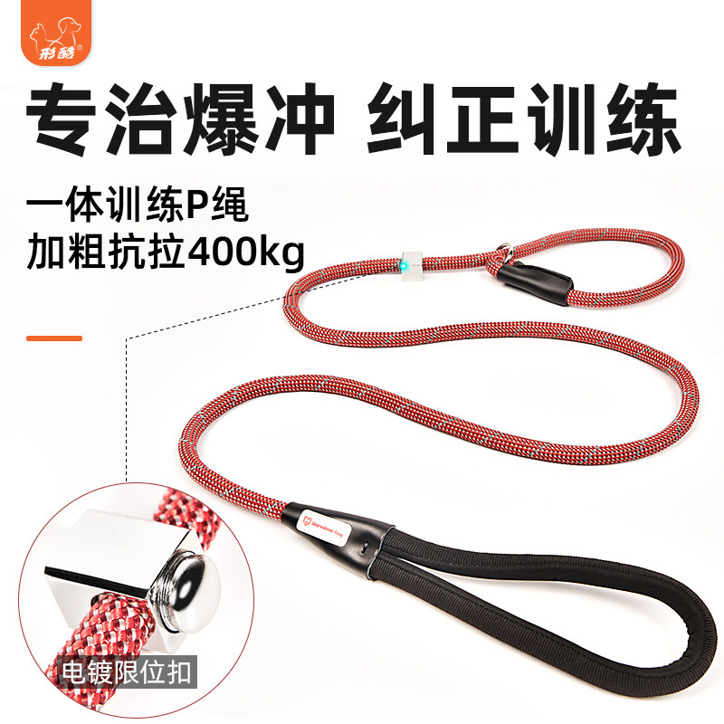 狗绳子训练p字链狗链项圈防爆冲中型大型犬牵引绳拉布拉多训犬p绳,宠物/宠物食品及用品,狗牵引绳,淘宝优惠券,粉丝福利购,淘宝优惠卷
