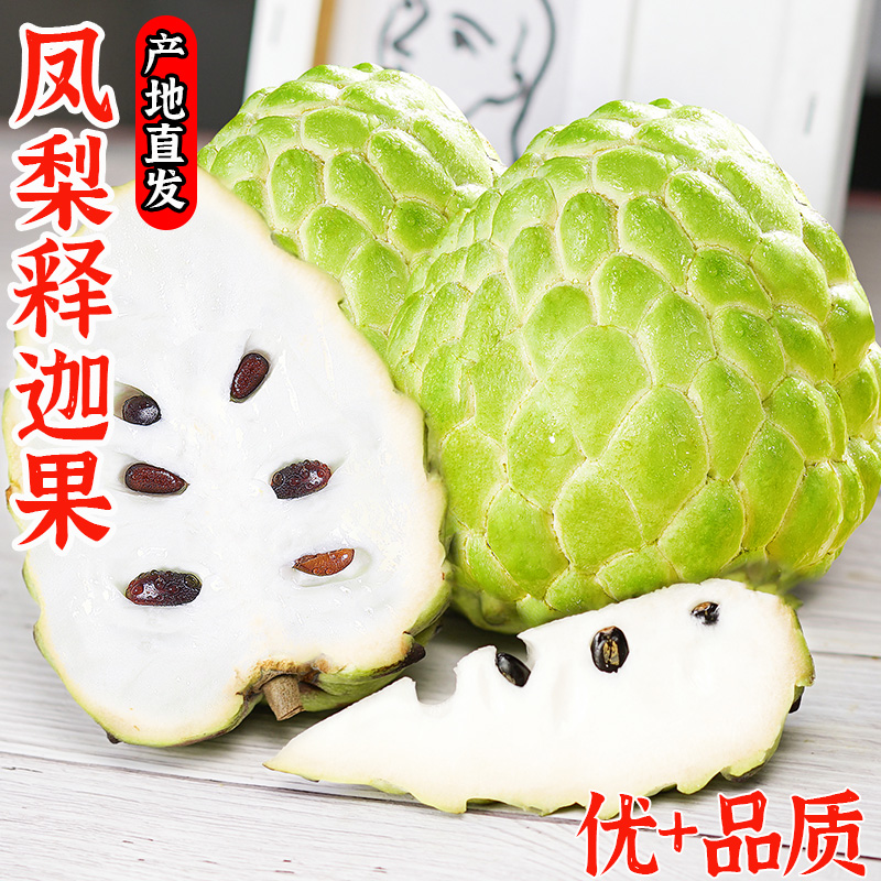 【天猫好物推荐】凤梨释迦果