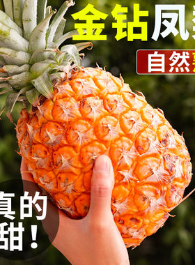 【天猫精选好物】海南金钻凤梨