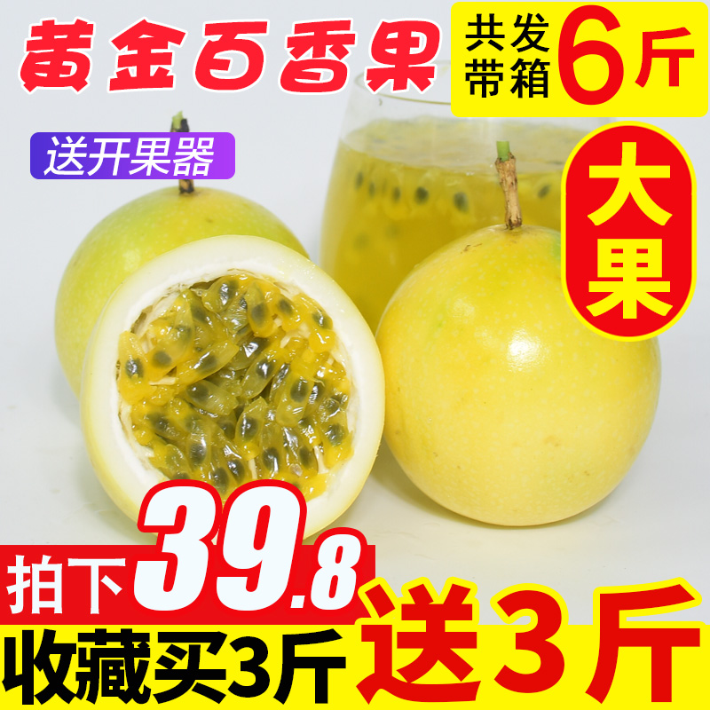 包邮黄金3大果5斤广西现摘黄皮百香果
