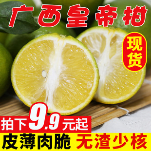 广西皇帝柑贡柑德庆橘子2斤新鲜5斤大果水果蜜桔子9斤当季整箱10