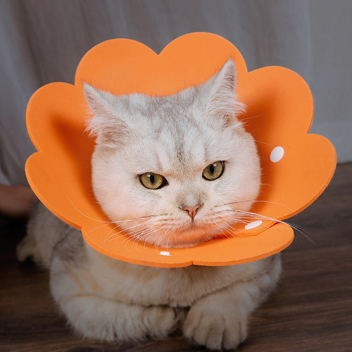 猫咪伊丽莎白圈项圈头套防咬防舔