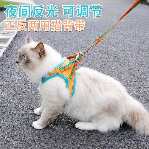 背心式胸背带时尚撞色外出牵引绳