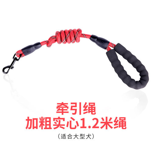 泰迪狗狗宠物项圈金毛大型犬狗链