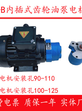 CB-B6/4/10/2.5JZ锯床油泵电机CBW-16/20/25/32内插式润滑泵R齿轮
