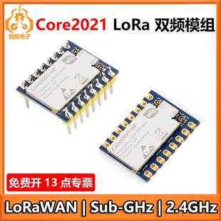 Core2021 LoRa LR2021 HF LF双频模组SPI LoRaWAN Sub-GHz/2.4GHz