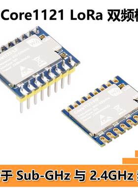 Core1121 LoRa LR1121 HF LF双频模组 SPI适用于Sub-GHz/2.4GHz