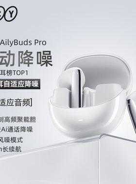 QCY AilyBuds Pro小Q豆半入耳主动降噪蓝牙耳机QCY T13 AN