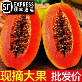 云南西双版纳牛奶红心木瓜现摘现发树熟冰糖心汁水超多顺丰包邮
