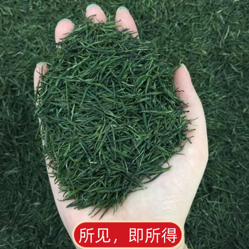 口粮茶2024年新茶叶湖北保康毛尖茶特级浓香型高山云雾茶罐装绿茶