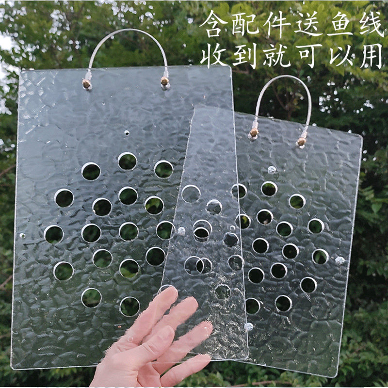 亚克力鹿角蕨定植板送配件直接用图片