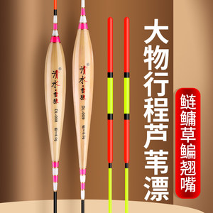 大物芦苇浮漂行程漂黑坑青鱼草鱼鲤鱼远投超醒目加粗珠珠鲢鳙鱼漂