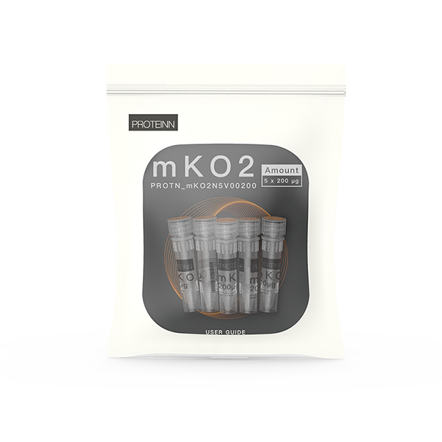 mKO2 Purified Fluorescent Protein