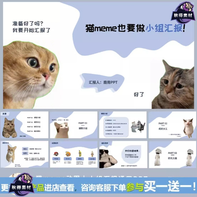 【猫meme动图风格】小组汇报/总结汇报通用ppt模板