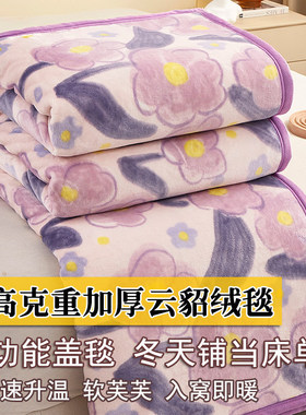 加厚云貂绒毛毯子柔软保暖床单冬天双面盖毯被不掉毛珊瑚牛奶绒毯