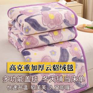 加厚云貂绒毛毯子柔软保暖床单冬天双面盖毯被不掉毛珊瑚牛奶绒毯