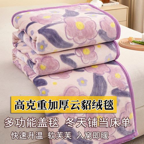 加厚云貂绒毛毯子柔软保暖床单冬天双面盖毯被不掉毛珊瑚牛奶绒毯