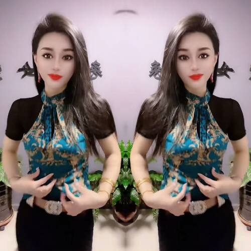 百搭修身显瘦立领印花套头打底衫