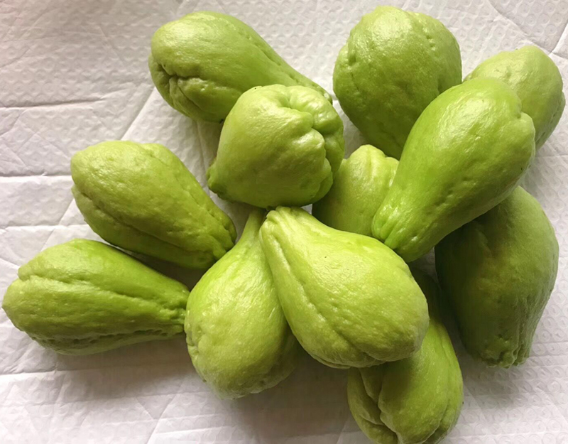 新鲜现摘佛手瓜菜瓜儿四川乐山犍为眉山本地特产蔬菜农家5斤包邮