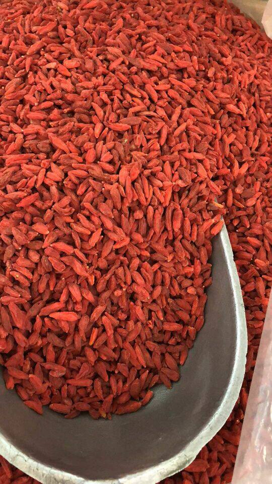 新货头茬中宁枸杞正宗特优级宁夏枸杞子免洗即食500g包邮无杂质