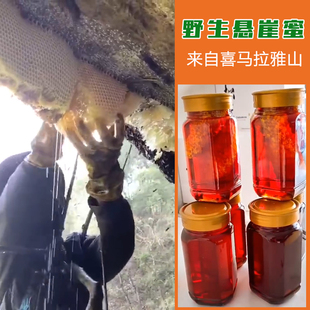 西藏蜜高原野生特产土蜂蜜纯天然散装 喜马拉雅蜜蜂崖蜜巢蜜