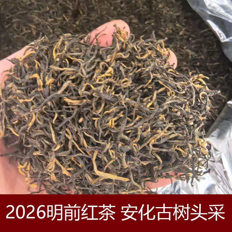2026新茶红茶安化高山古树春茶明前头采芽尖特一散装茶叶袋装湖红