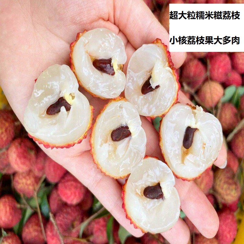 潮汕特产新鲜水果超大粒糯米糍荔枝小核荔枝孕妇儿童老人最爱吃