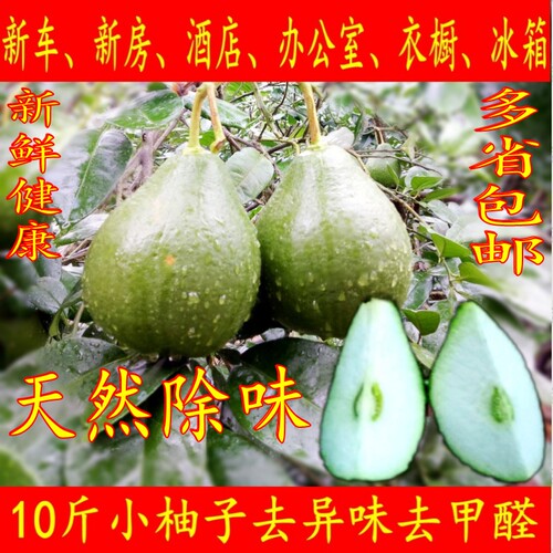 新车祛味除甲醛10斤包邮沙田柚