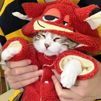 变身狗狗猫咪可爱衣服冬季保暖比熊小狗狗秋冬装小型宠物两脚